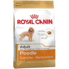 Poodle Royal Canin